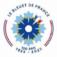 Croix de Guerre et Valeur Militaire logo - Similar company to Air Alpha, L'Assurance Des Militaires De L'Armée De L'Air  🟦  🟥