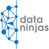 Data Ninjas logo - Similar company to Data Nirvana