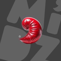 midz.co logo - Similar company to Meawal