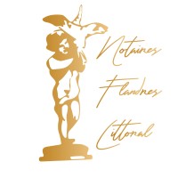 Notaires Flandres Littoral - SCP THOOR COUTEAU NUNS DEBERT VITSE SEGUIN logo - Similar company to Tarquinism