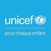 UNICEF Burkina Faso logo - Similar company to Ajpd-Bf