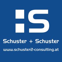 Schuster + Schuster Traffic Infrastructure Consulting GmbH logo - Similar company to Prodes Gmbh