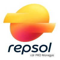 Monegas Repsol Luz y gas logo - Similar company to Kbc-Elevate Limited
