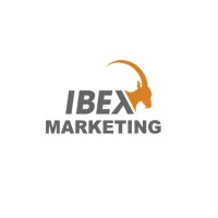 IBEX Digital logo - Similar company to Ibex Techlogic