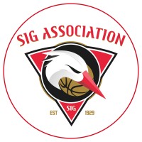 SIG Association logo - Similar company to Aryan Tech