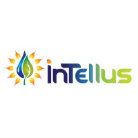 Intellus, LLC