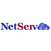 NetServ, Integrated Service Solutions Inc logo - Similar company to Ayvant It Services