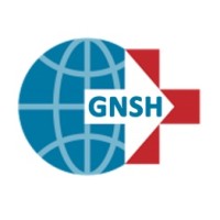 Global Network for Simulation in Healthcare (GNSH) logo - Similar company to Simulation Canada
