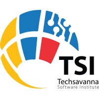 TECHSAVANNA SOFTWARE INSTITUTE logo - Similar company to Software Technologies Limited