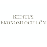 Reditus Ekonomi och Lön logo - Similar company to Komp Mgmt
