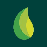 VEGA Monitoramento Agro logo - Similar company to Geoambiente - Google Enterprise Partner
