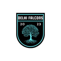 Delhi Falcons FC logo - Similar company to Delhi Dynamos Fc