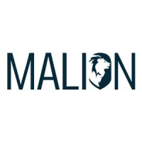 Malion logo - Similar company to Malionne