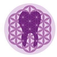 NatureBio Dental logo - Similar company to Dentists4Dentists