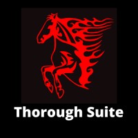 Thorough Suite logo - Similar company to Dynamics Source