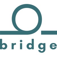 Bridge Consulting logo - Similar company to Themicromask