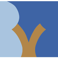 BVM - German Conference on Medical Image Computing logo - Similar company to Solectrix Gmbh