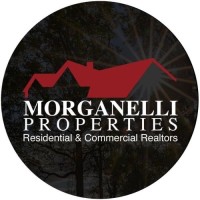 Morganelli Properties logo - Similar company to Mcit