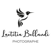Laetitia Bellandi logo - Similar company to Studio Laetitia Simonin