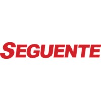 SEGUENTE logo - Similar company to Phoenix Fusion