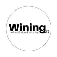 Wining.it logo - Similar company to Theunique Group