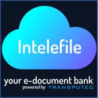 INTELEFILE logo - Similar company to Best4Systems