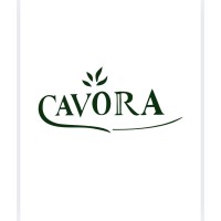 Cavorastores logo - Similar company to Srf Capital Studio