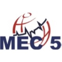 MEC 5 Consulting logo - Similar company to Minturn Group