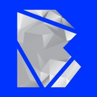 Bridging Networks logo - Similar company to Blockpro