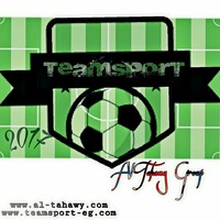 Al Tahawy group Team Sport Artificial grass الطحاوي جروب المنصورية للمقاولات logo - Similar company to Artificial Grass Specialists Greece