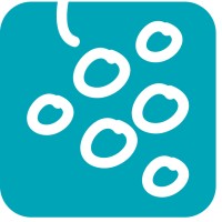 Stadtwerke Weinstadt logo - Similar company to Dibicon - Digitale Bildungsträger Consulting Ug (Haftungsbeschränkt)