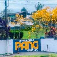PANG DO BRASIL IMP. EXP. IND. E COM. LTDA logo - Similar company to Ph Bombas Ltda