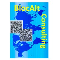 BlocAlt Consulting LLC logo - Similar company to Leadit Digital