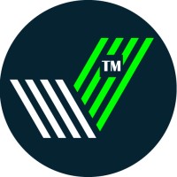 Technomargin logo - Similar company to We R Digisoul