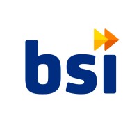 BSI Services logo - Similar company to Bsi Digital Learning