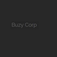 Buzy Corp Solutions logo - Similar company to O2Gen Solutions