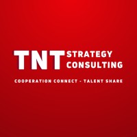 TNT Strategy Consulting logo - Similar company to Seamless Digital