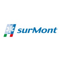 Surmont S.p.A. logo - Similar company to Figulì Srl