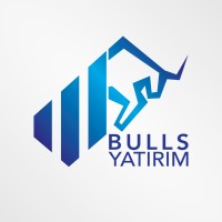 BULLS YATIRIM MENKUL DEĞERLER A.Ş. logo - Similar company to Arter Plus Reklam & İletişim Danışmanlık Hizmetleri
