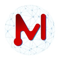 Maggiore Sistemas logo - Similar company to Itsapp