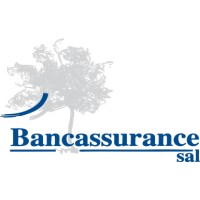 Bancassurance SAL logo - Similar company to Bulkgroup