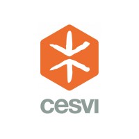 Cesvi Pakistan logo - Similar company to Sungi Development Foundation / Making Waves