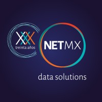 NetMX logo - Similar company to Spribo
