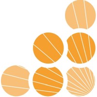ADVANCED SIMTECH LIMITED logo - Similar company to Capta Psc