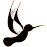 Indy Taxi Lady logo - Similar company to Taxi