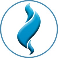 Igniting Cellular logo - Similar company to R.R. Infotech