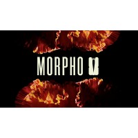 MORPHFO logo - Similar company to Douartist