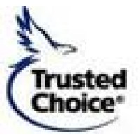 Advanced Insurance Strategies