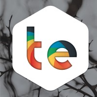 TE Digital Media logo - Similar company to T.E. Digital