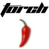 Torch Companies logo - Similar company to Inland Empire Spice